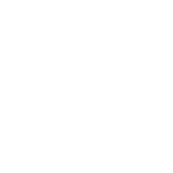 RFT elkom