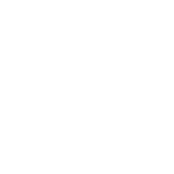 WSD